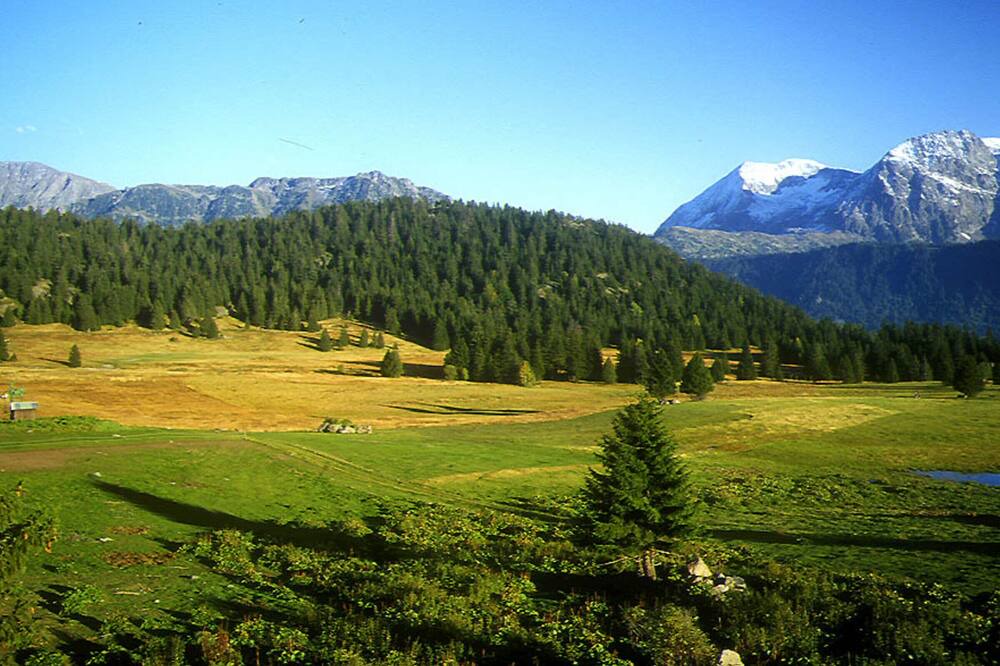 Photo of Others in Chamrousse