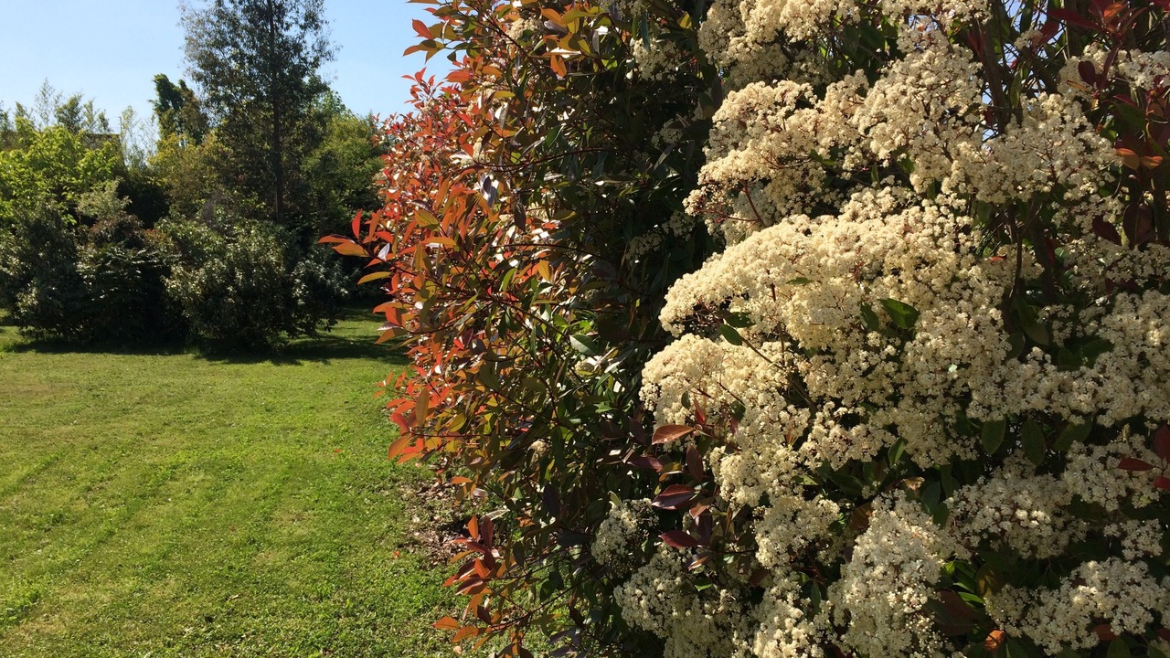 Photo of Outdoor in Saint-Cyr-sur-Loire