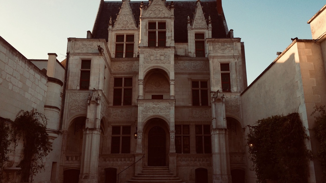 Photo of Others in Saint-Cyr-sur-Loire