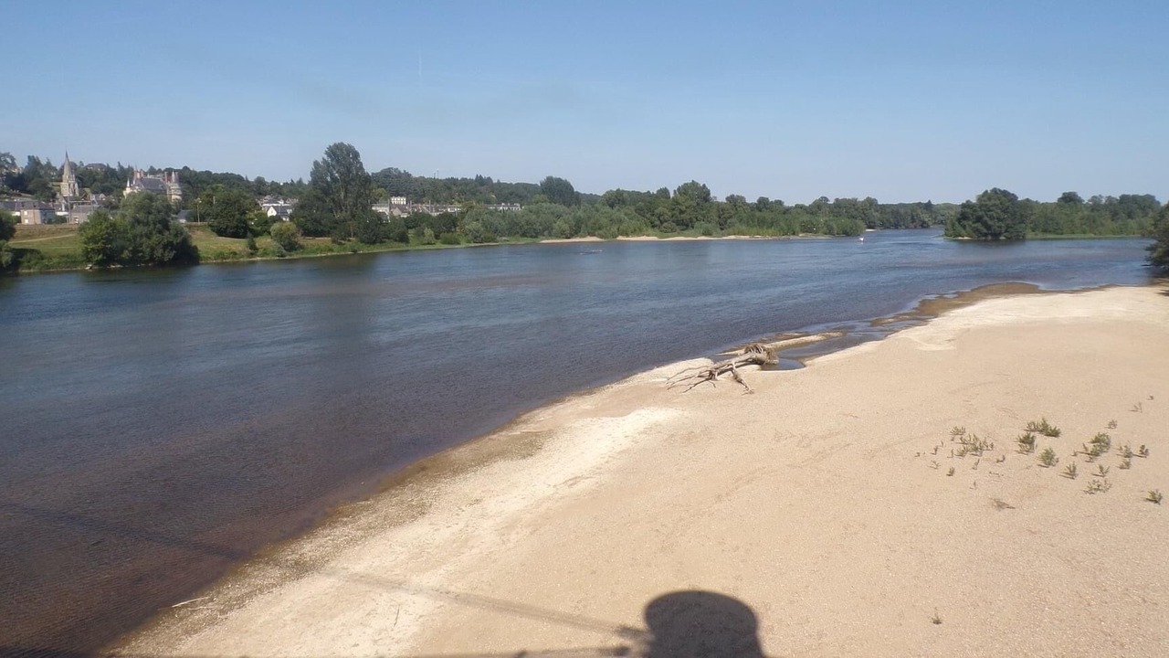 Photo of Others in Saint-Cyr-sur-Loire