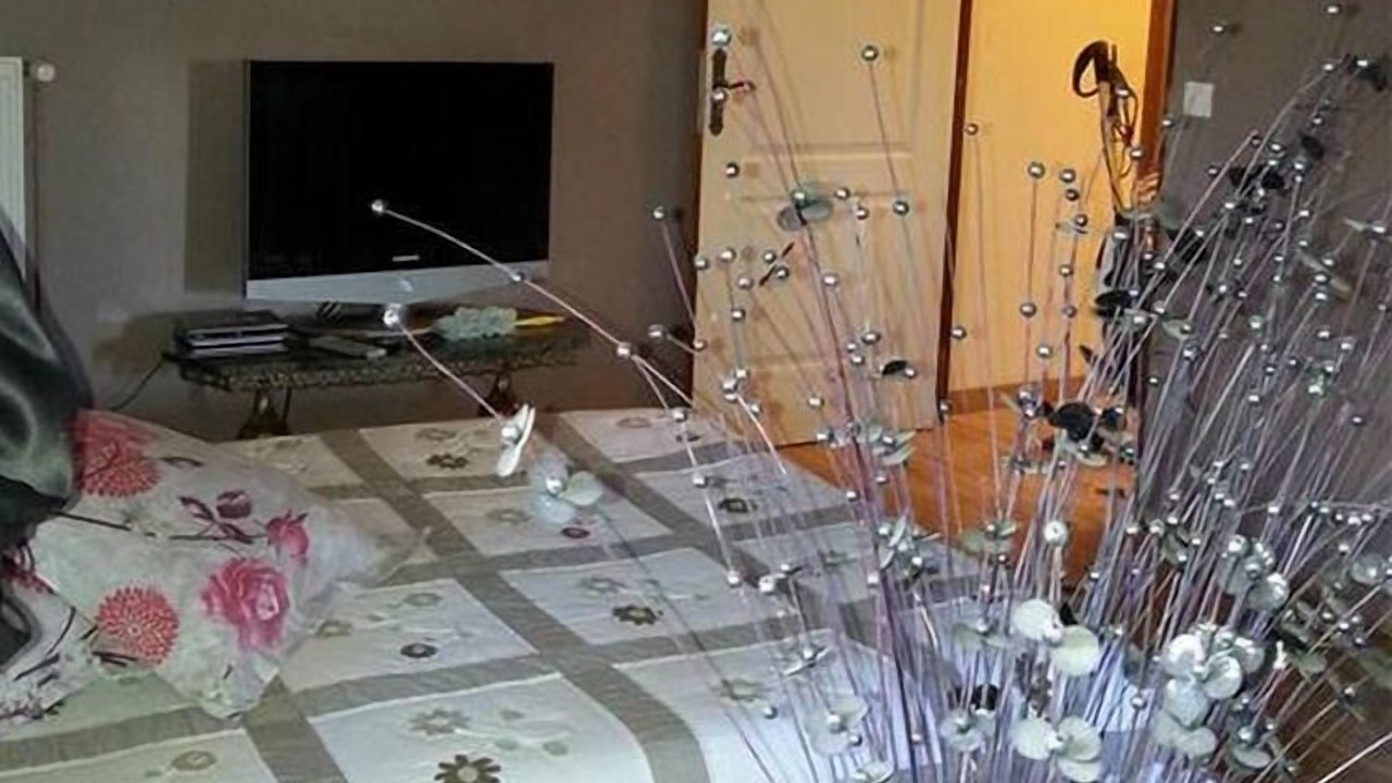 Photo of Bedroom in Saint-Remy-de-Chargnat