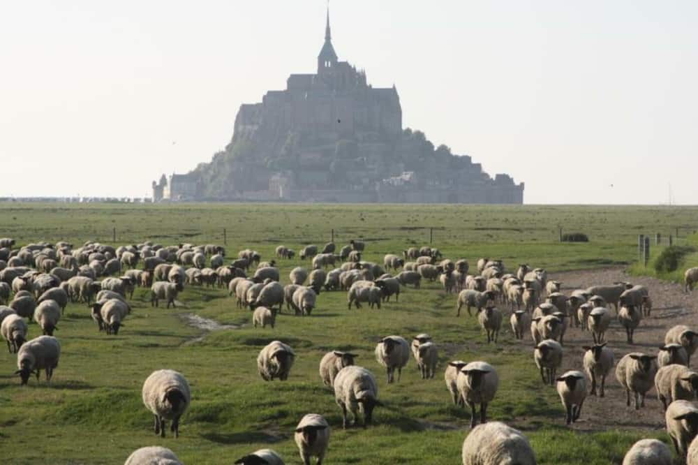 Photo of Others in Ardevon