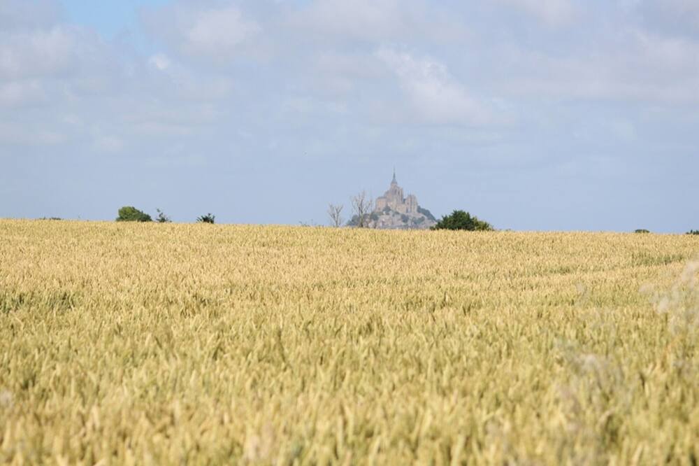 Photo of Others in Ardevon