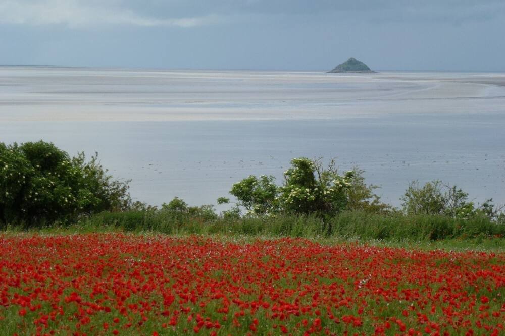 Photo of Others in Ardevon