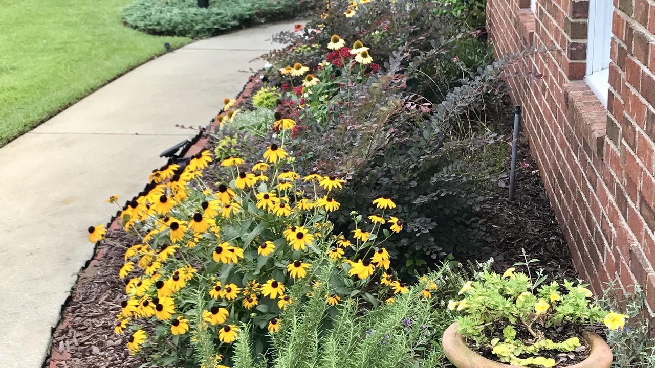 Photo of Outdoor in Woodside Plantation