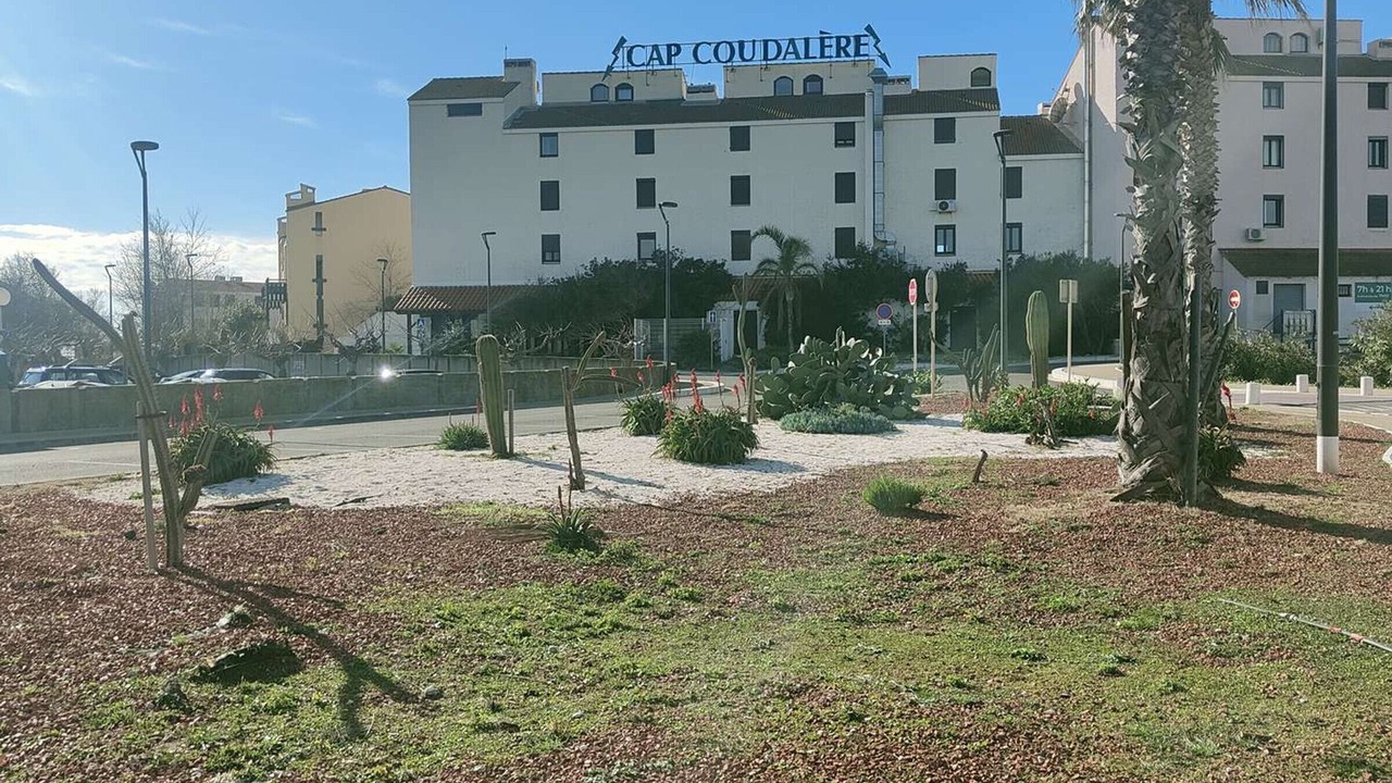 Photo of Outdoor in Le Barcares