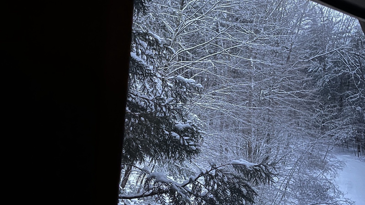 Photo of Others in Hillsdale