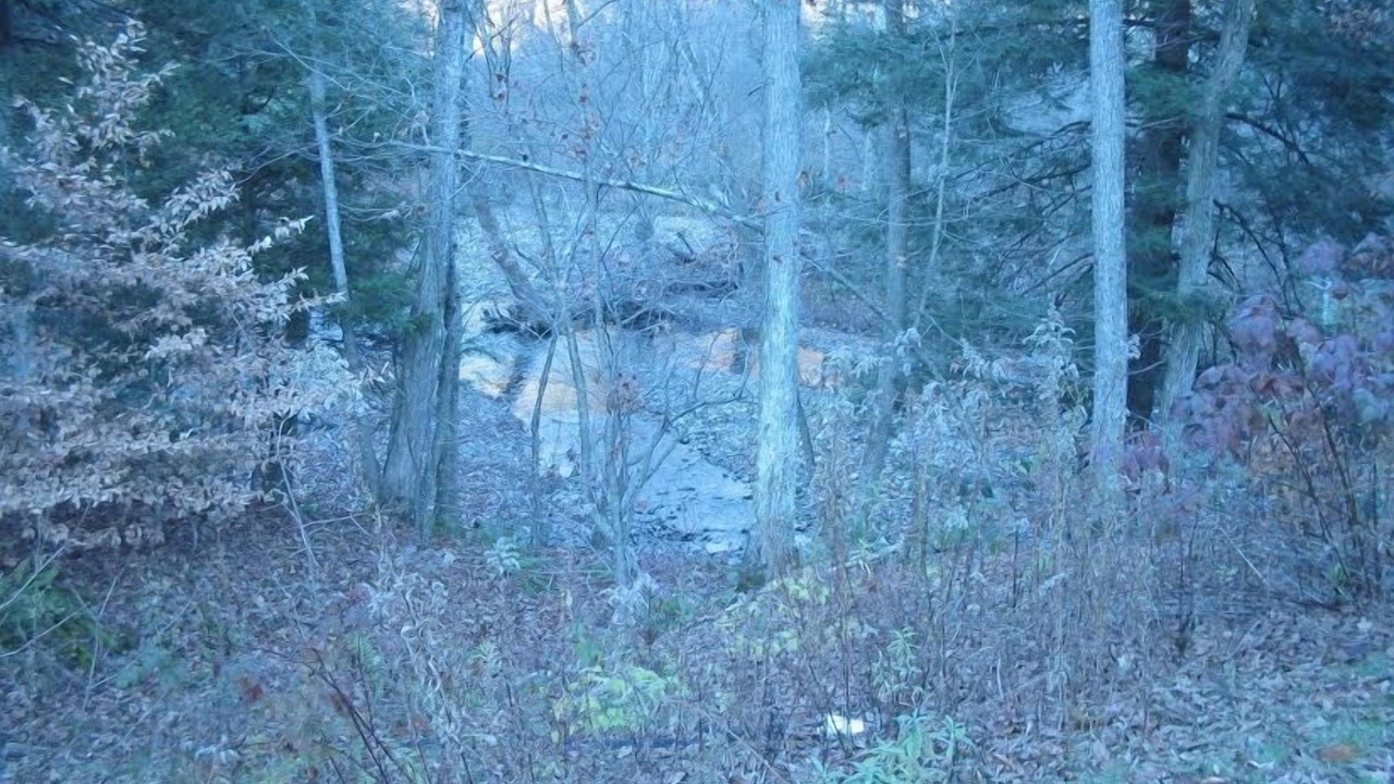 Photo of Others in Hillsdale