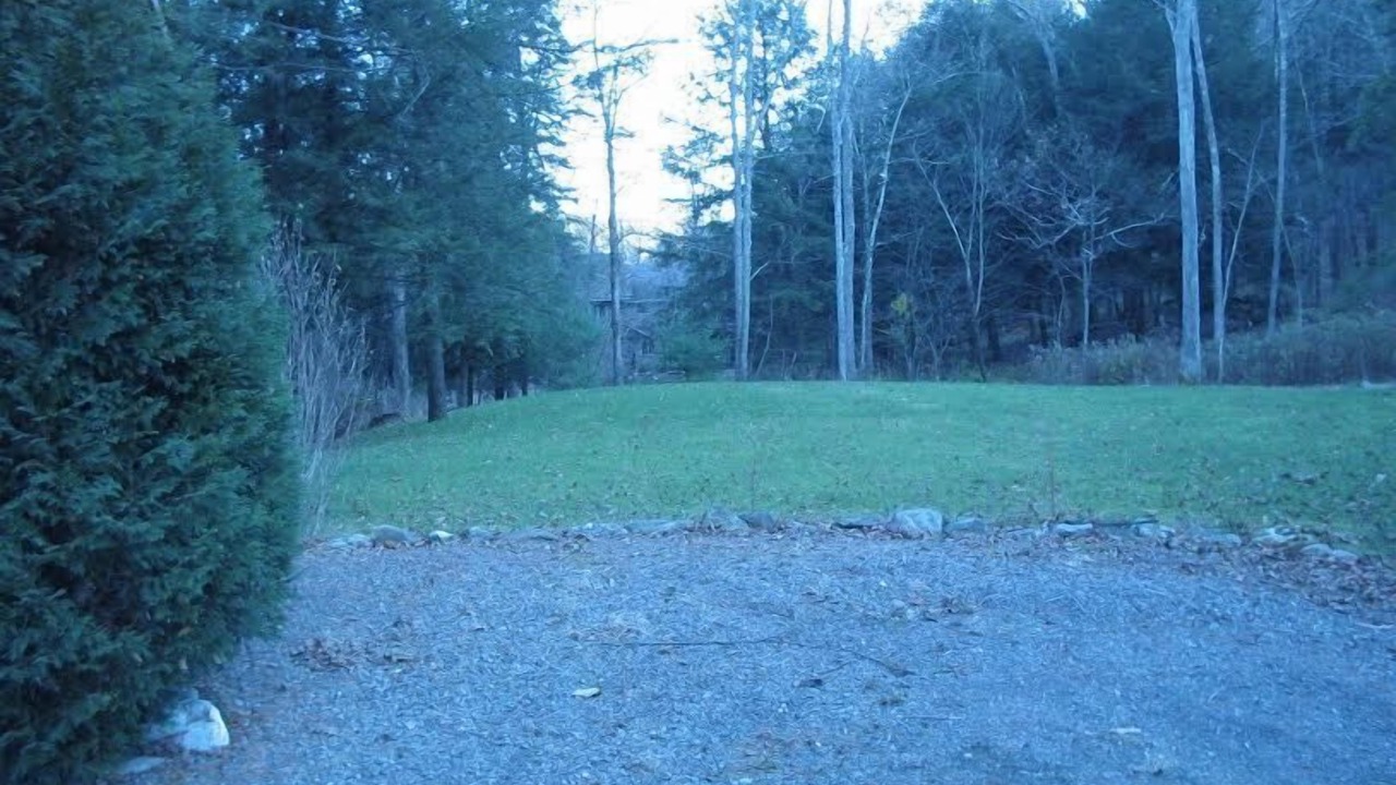 Photo of Others in Hillsdale