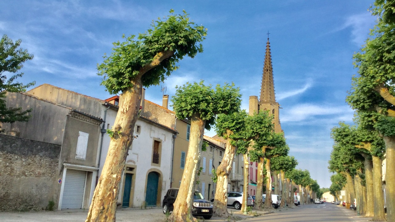 Photo of Outdoor in Mirepoix