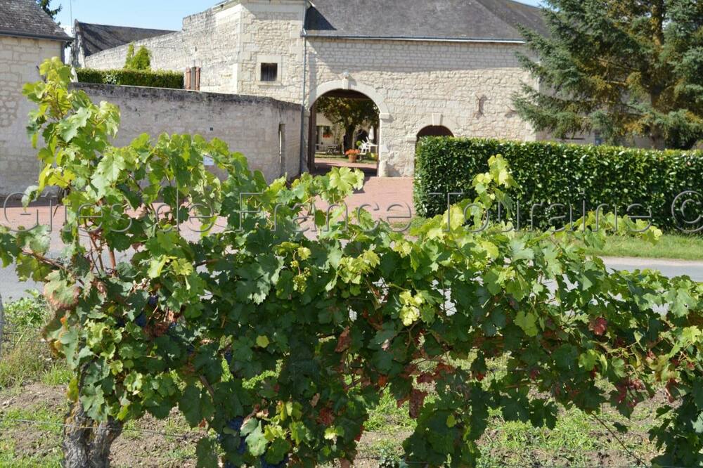 Photo of Outdoor in Ligre