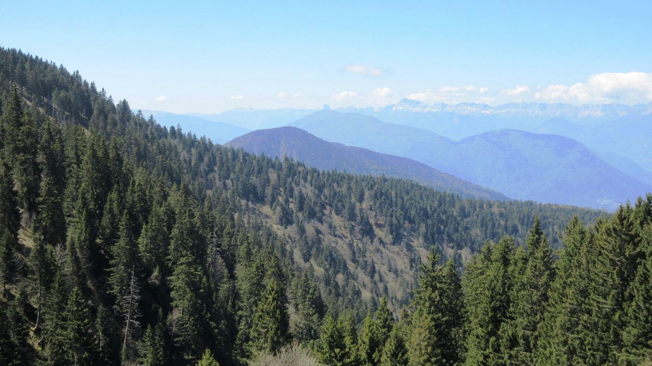 Photo of Others in Chamrousse