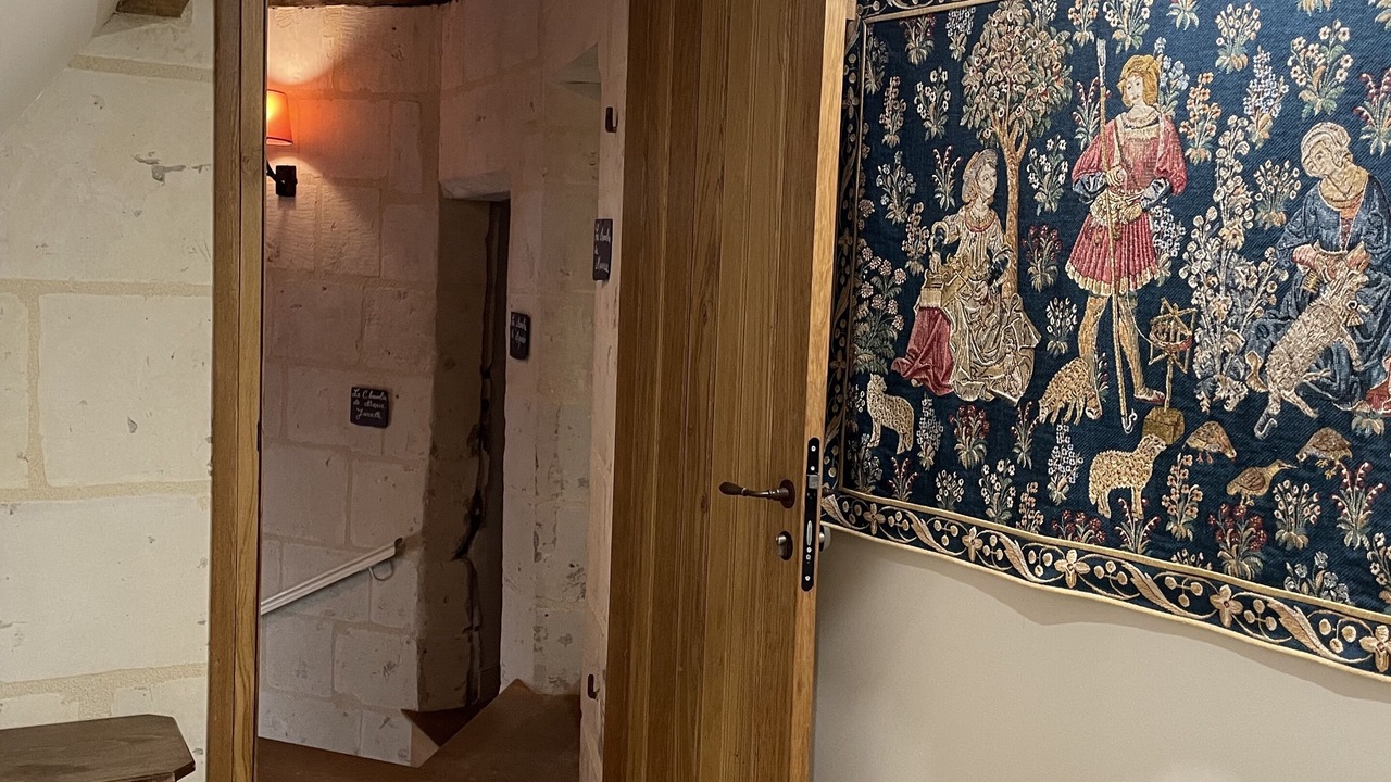 Photo of Bedroom in Chinon