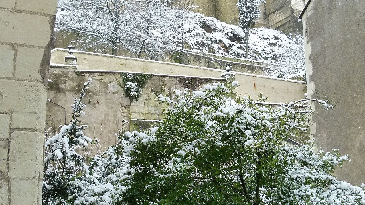 Photo of Outdoor in Chinon