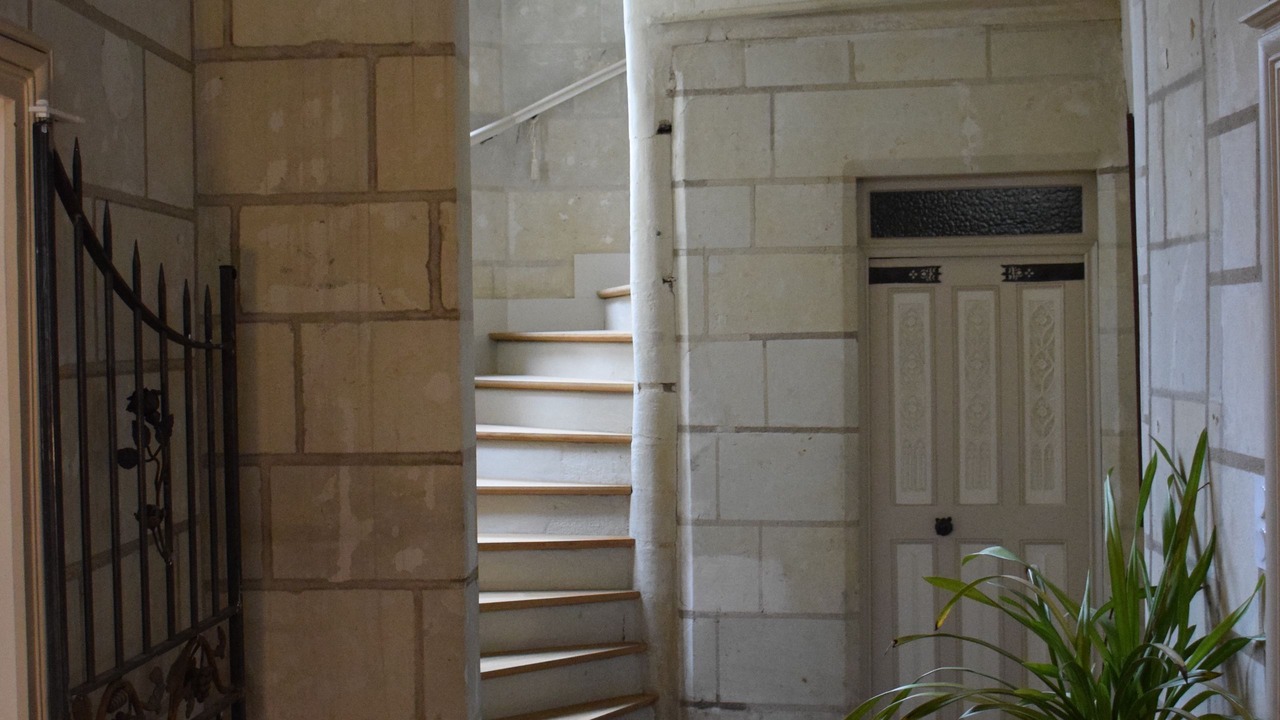 Photo of Others in Chinon