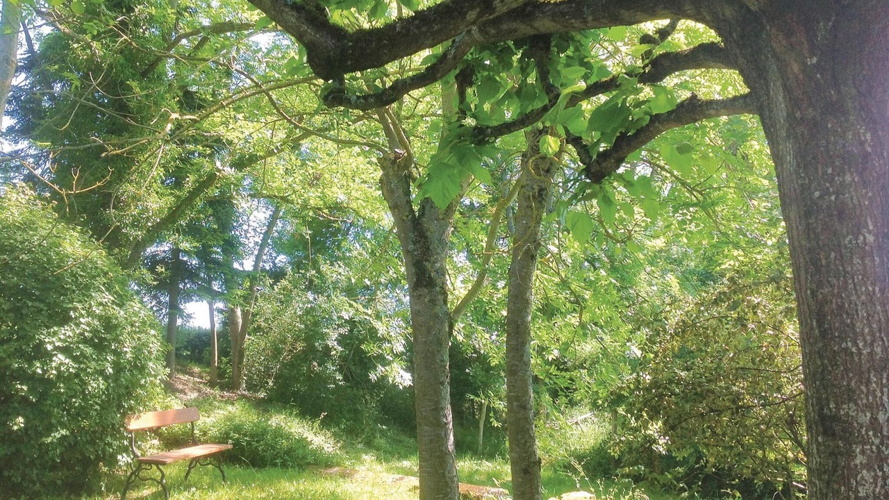 Photo of Outdoor in Saint-Georges-sur-Baulche