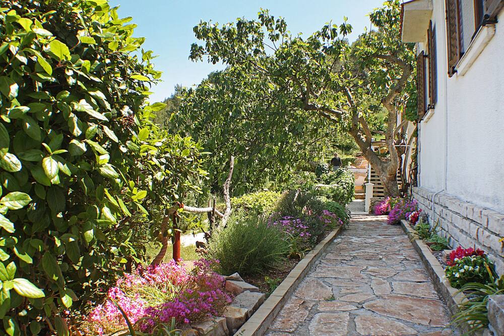 Photo of Outdoor in Gornje Selo
