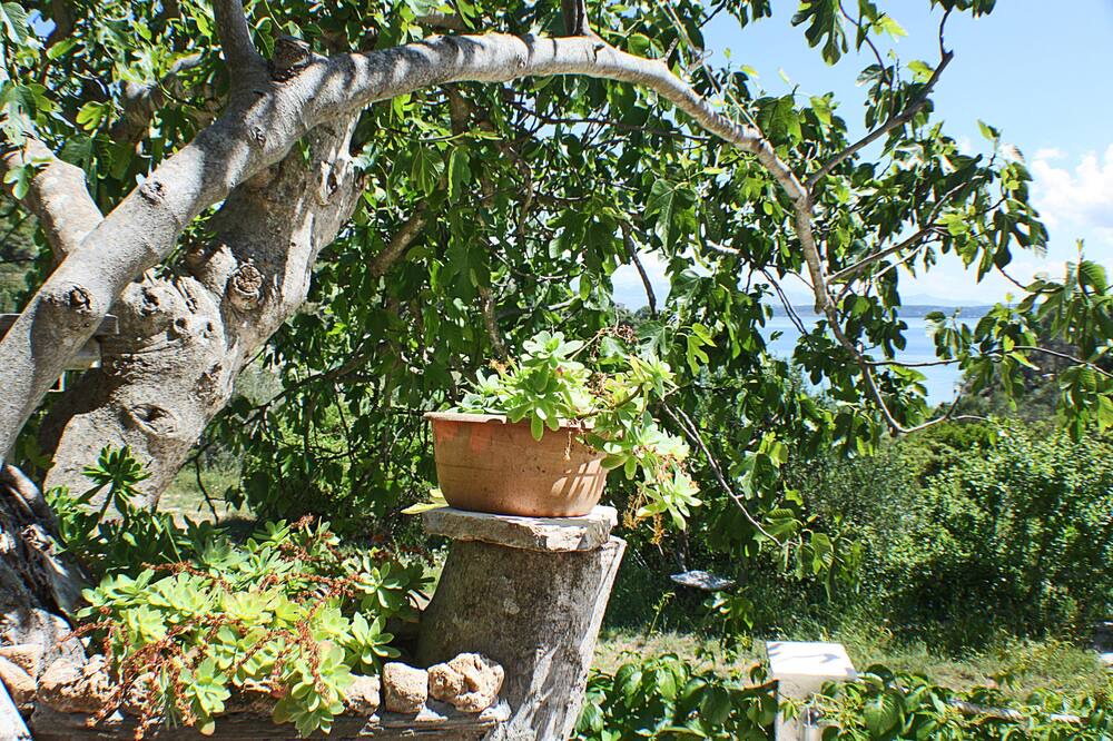 Photo of Outdoor in Gornje Selo