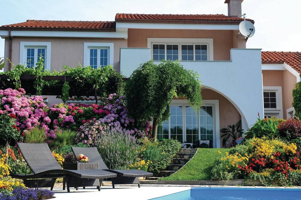Photo of Outdoor in Soboli