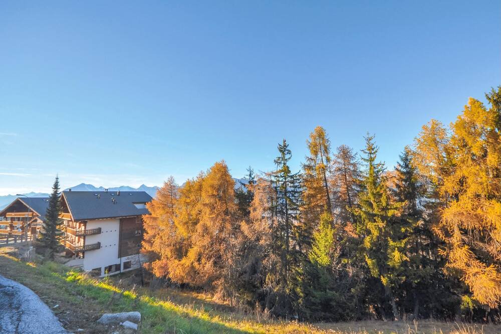 Photo of Outdoor in Les Mayens-de-Sion