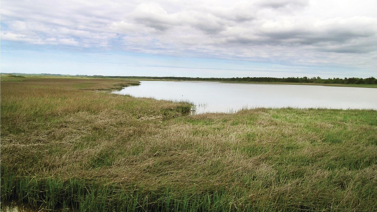 Photo of Others in Hojby