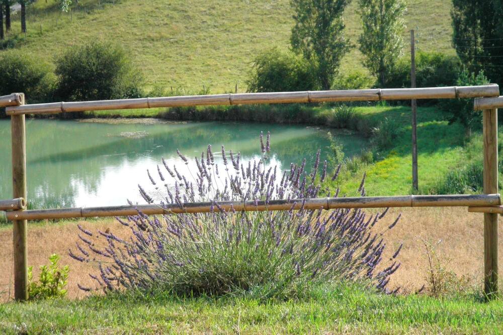 Photo of Outdoor in Molieres
