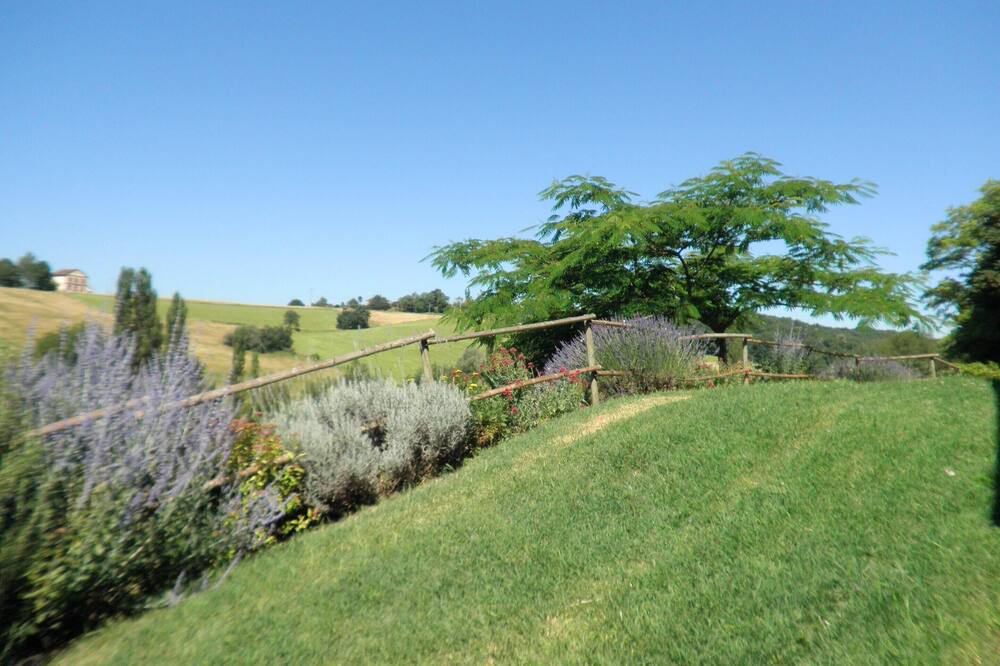 Photo of Outdoor in Molieres