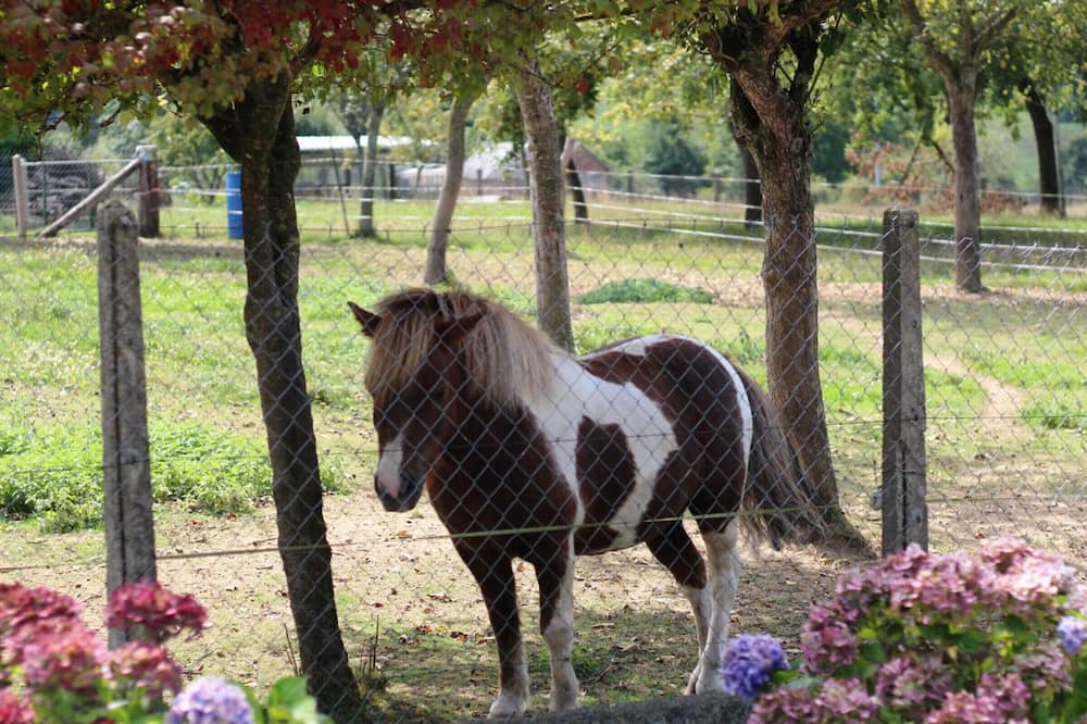 Photo of Outdoor in Isigny-le-Buat