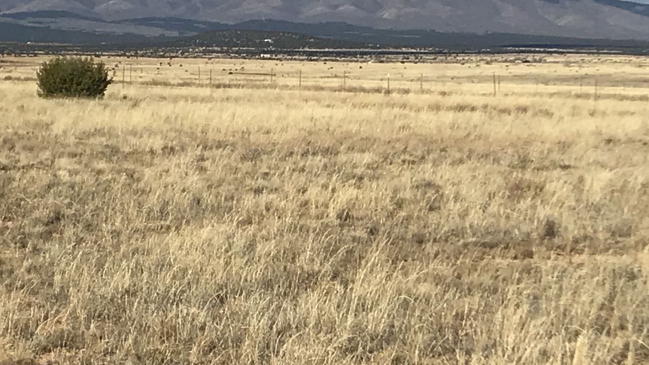 Photo of Others in Mountainair