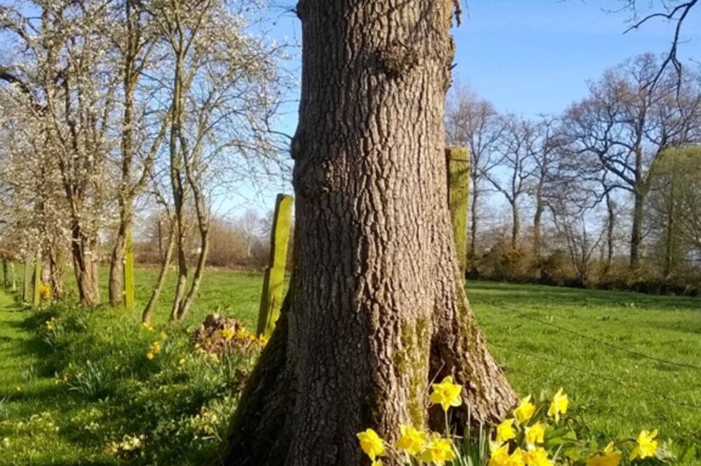 Photo of Outdoor in Braffais