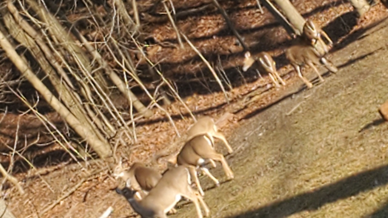 Photo of Outdoor in Juliustown