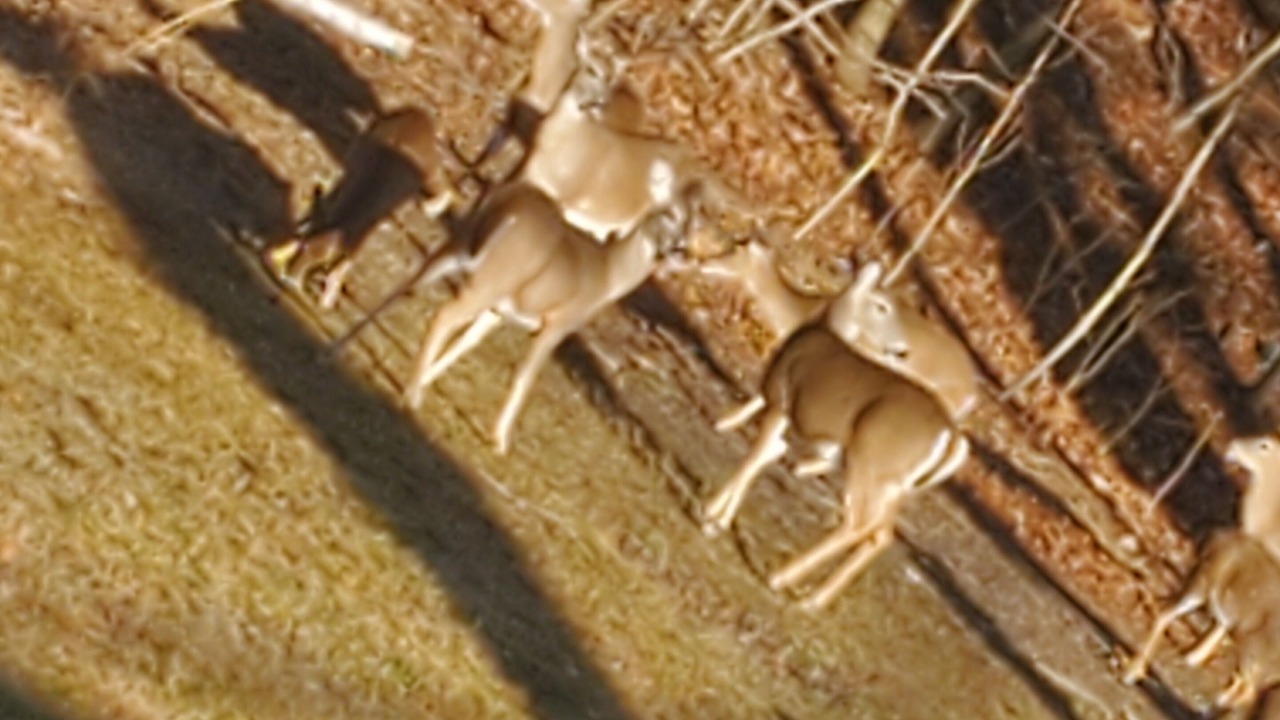 Photo of Outdoor in Juliustown