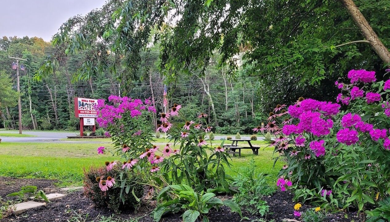 Photo of Outdoor in Juliustown