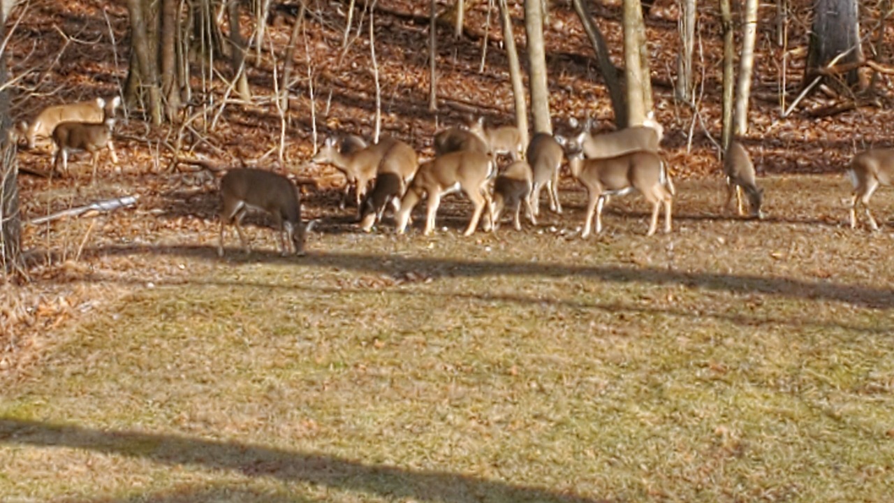 Photo of Outdoor in Juliustown