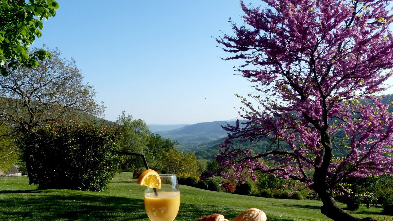 Photo of Others in Saint-Pons
