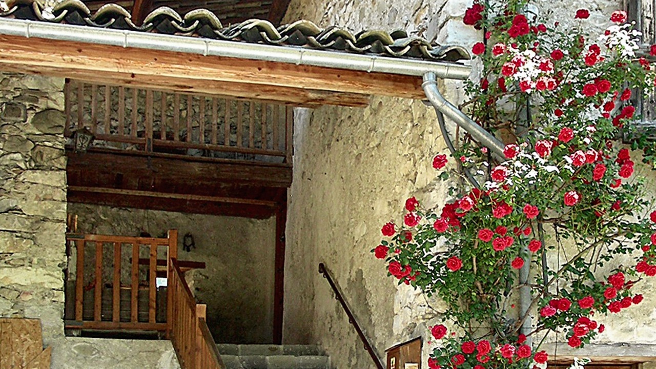 Photo of Outdoor in Thorame-Basse