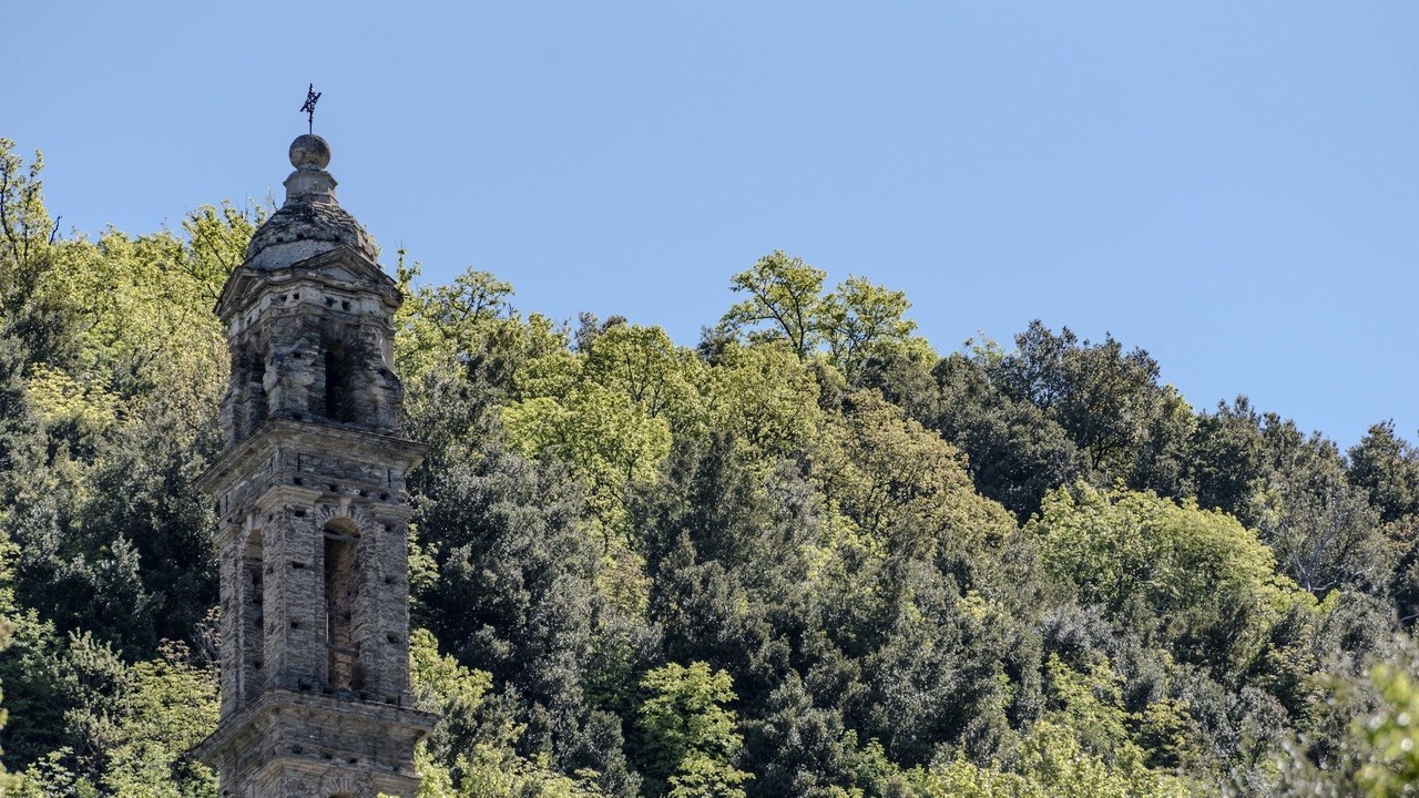 Photo of Others in Castello-di-Rostino