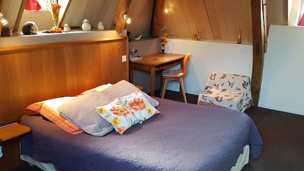 Photo of Bedroom in Martizay