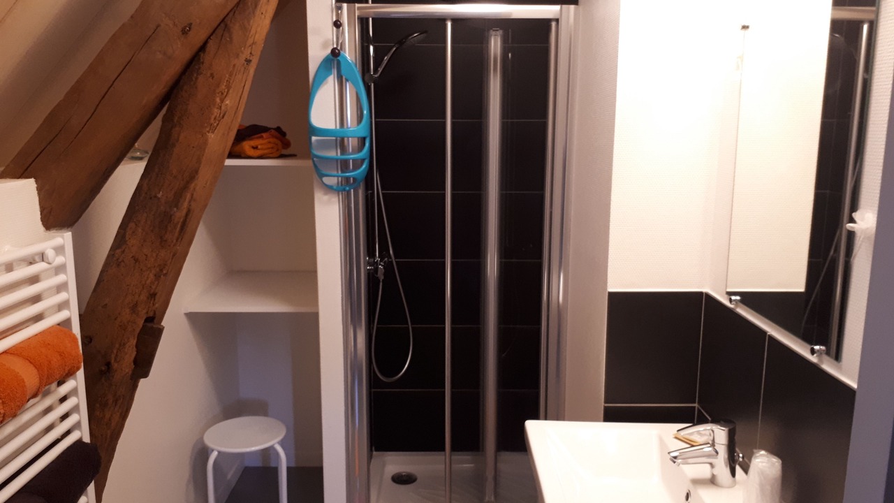 Photo of Bathroom in Martizay