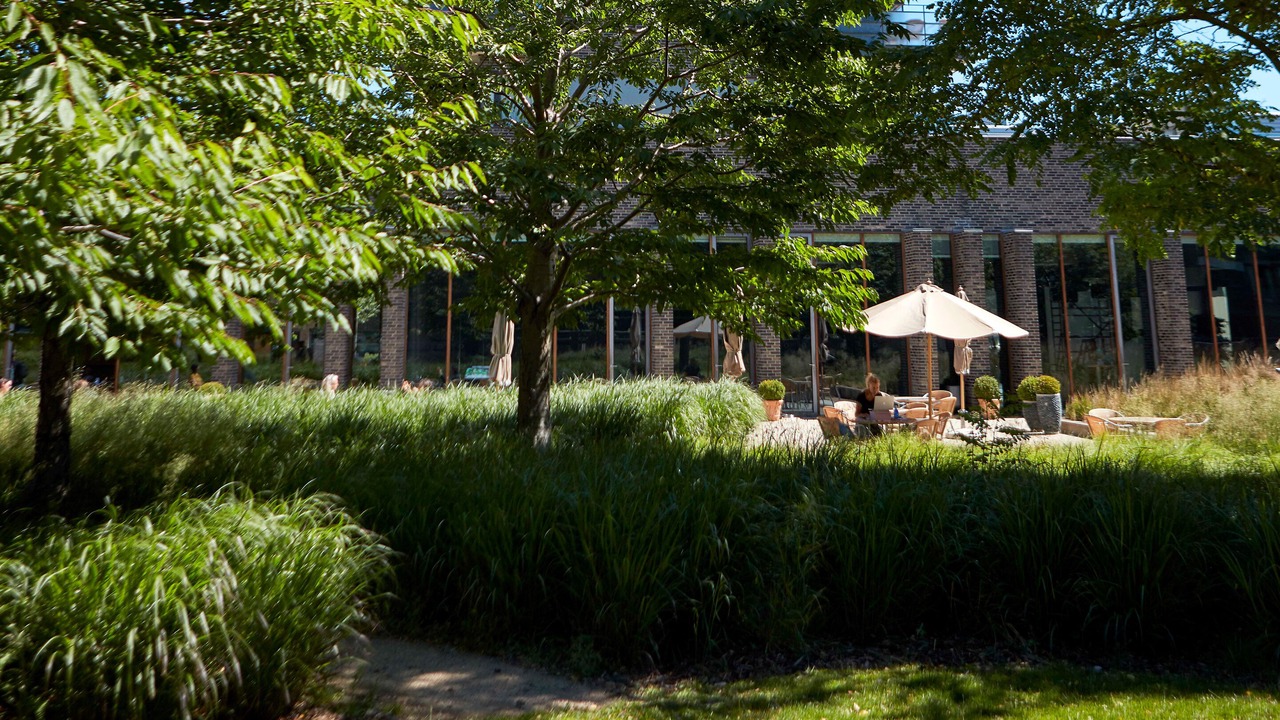 Photo of Outdoor in Osterbro