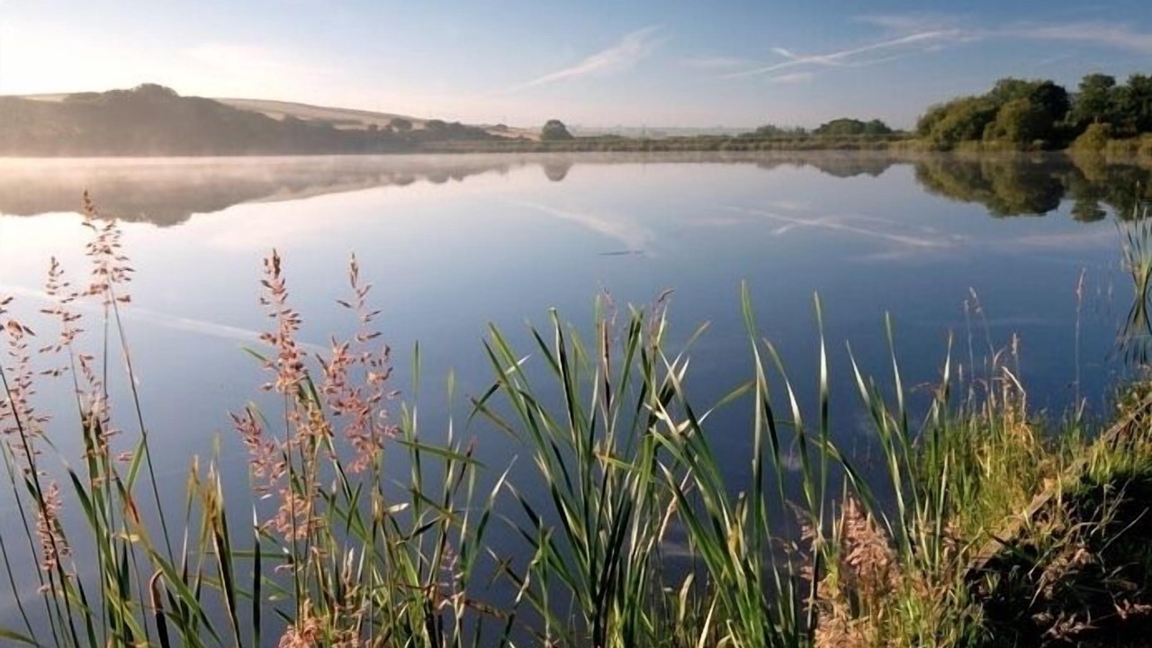 Photo of Others in Stratton