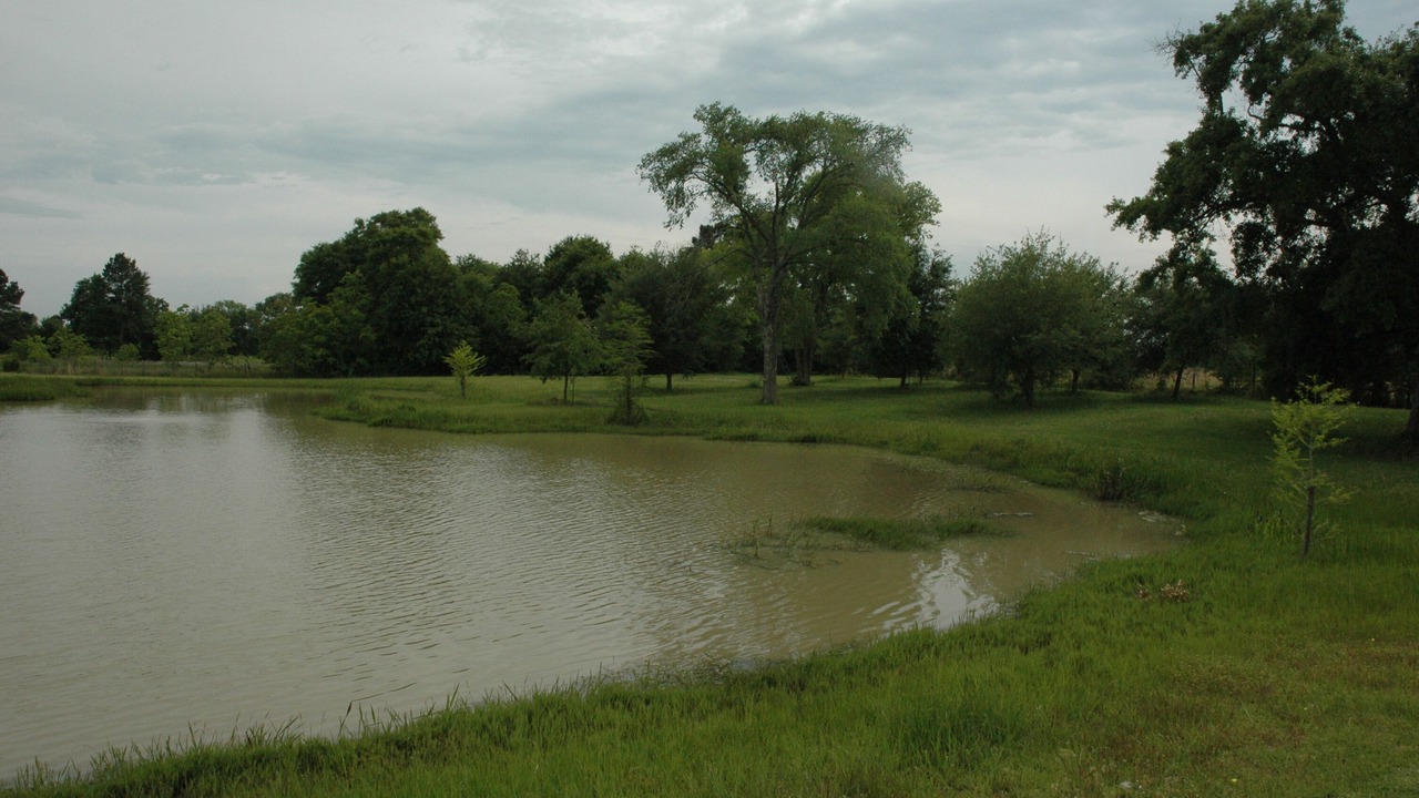 Photo of Others in Waller