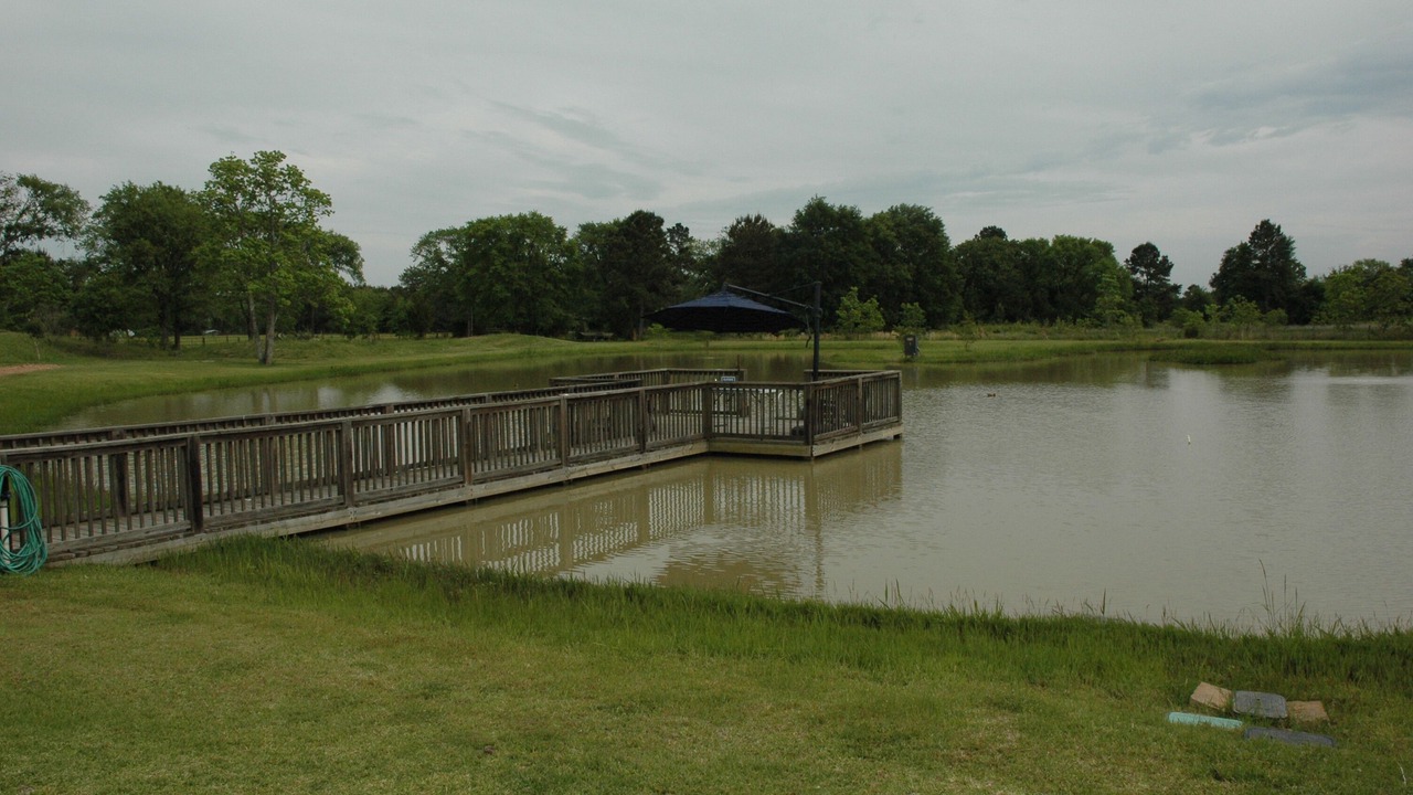 Photo of Outdoor in Waller