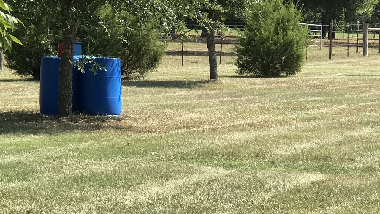 Photo of Outdoor in Waller