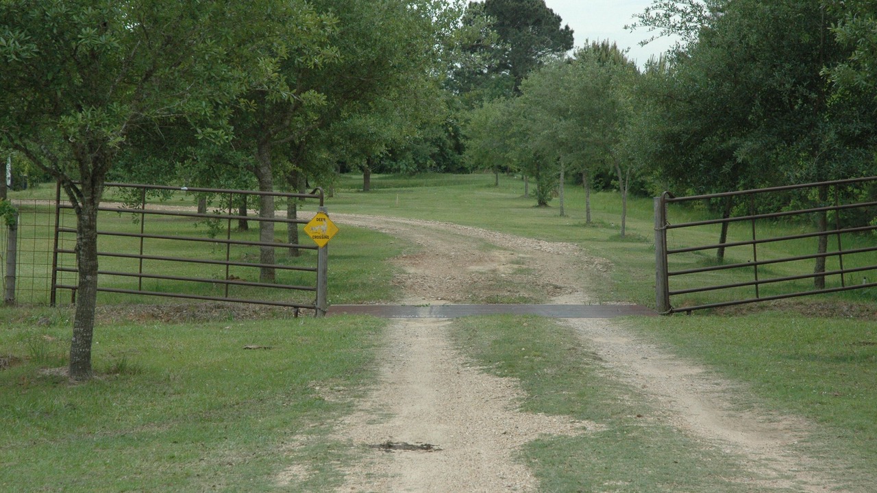 Photo of Outdoor in Waller
