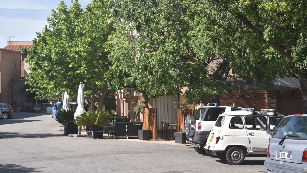 Photo of Others in Monticello