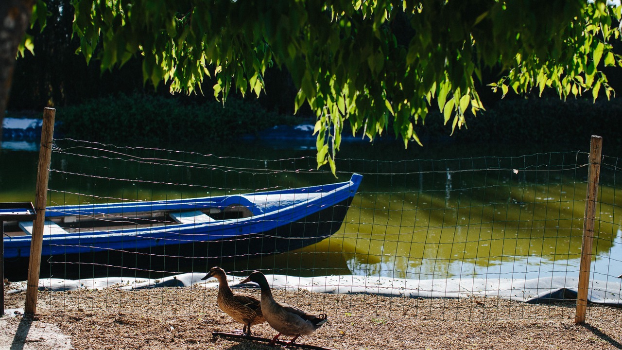 Photo of Outdoor in Calderon
