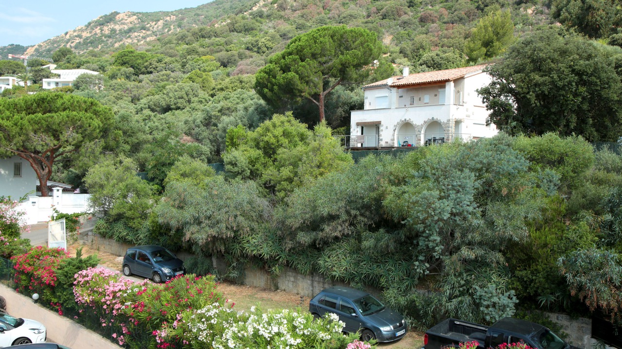 Photo of Others in Ajaccio