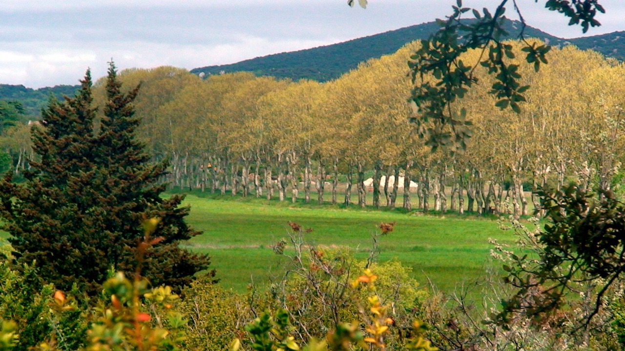 Photo of Outdoor in Conqueyrac