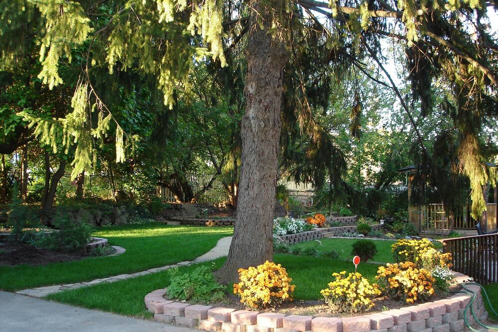 Photo of Outdoor in Niagara Falls